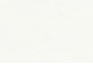 Pure White Quartz Countertops | Pure White Quartz Slab | 2003